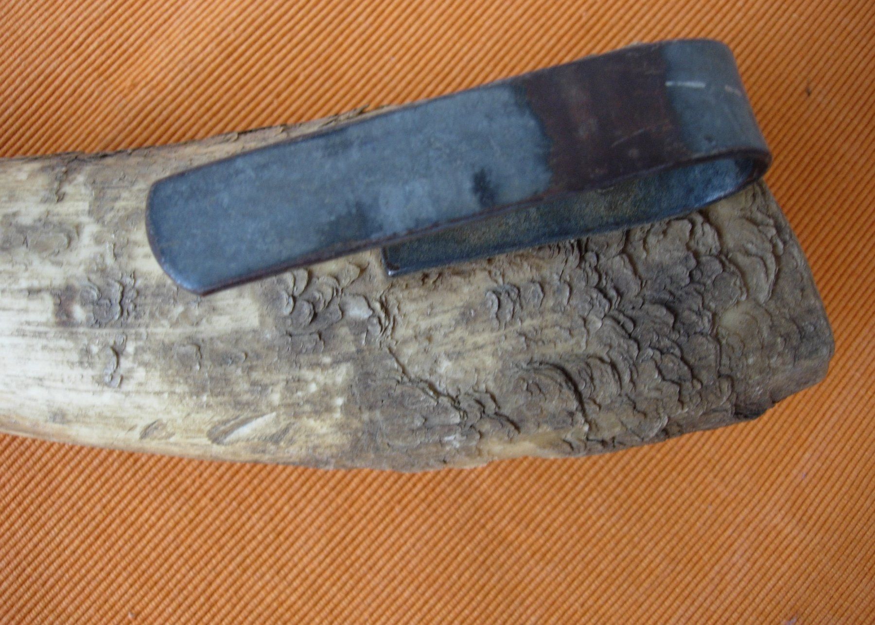 Fossili: Horn - Wettsteinfass - alt – Usato da Basel venduto da Grbina64 8