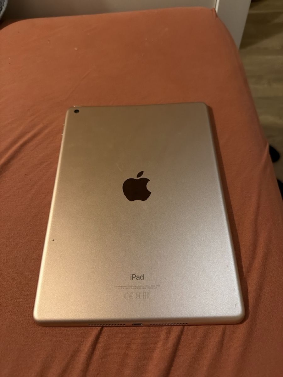 Apple Tablettes PC: Apple iPad Air 2  – D'occasion à Embrach par geo_727s 1