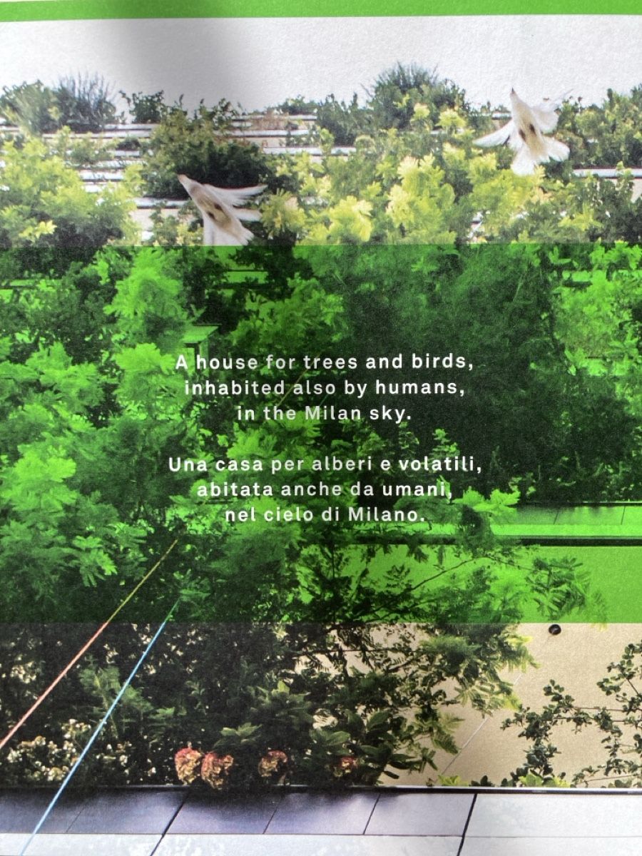 Libri: A Vertical Forest - Stefano Boeri – Usato da Zürich venduto da 000rk 1