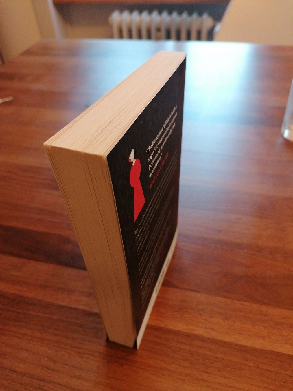 Libri: The Handmaid's Tale – Usato da Bern venduto da Oilygin 1