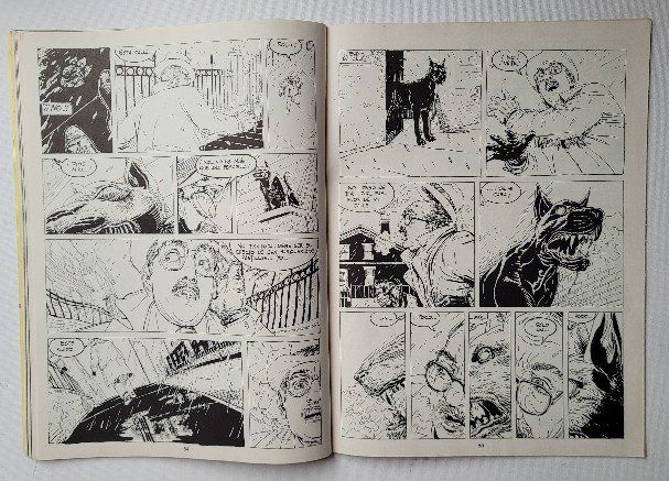 Fumetti: TOTEM EL COMIX 57 – SPANISCH / ESPAGNOL – Usato da Neftenbach venduto da Mador6 4