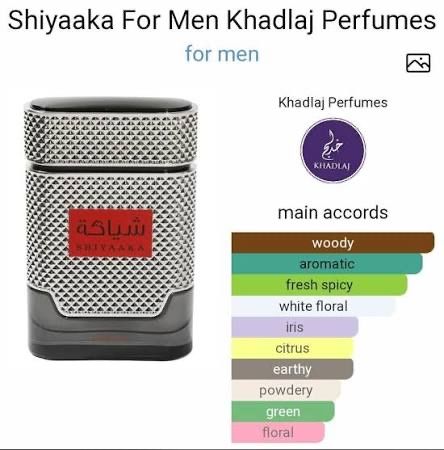 Profumi & Eau de Toilette: Shiyaaka Silver Khadaj Eau de Parfum 100ml neu – Nuovo e nell'imballaggio originale da Berikon venduto da eli_lwv2 2