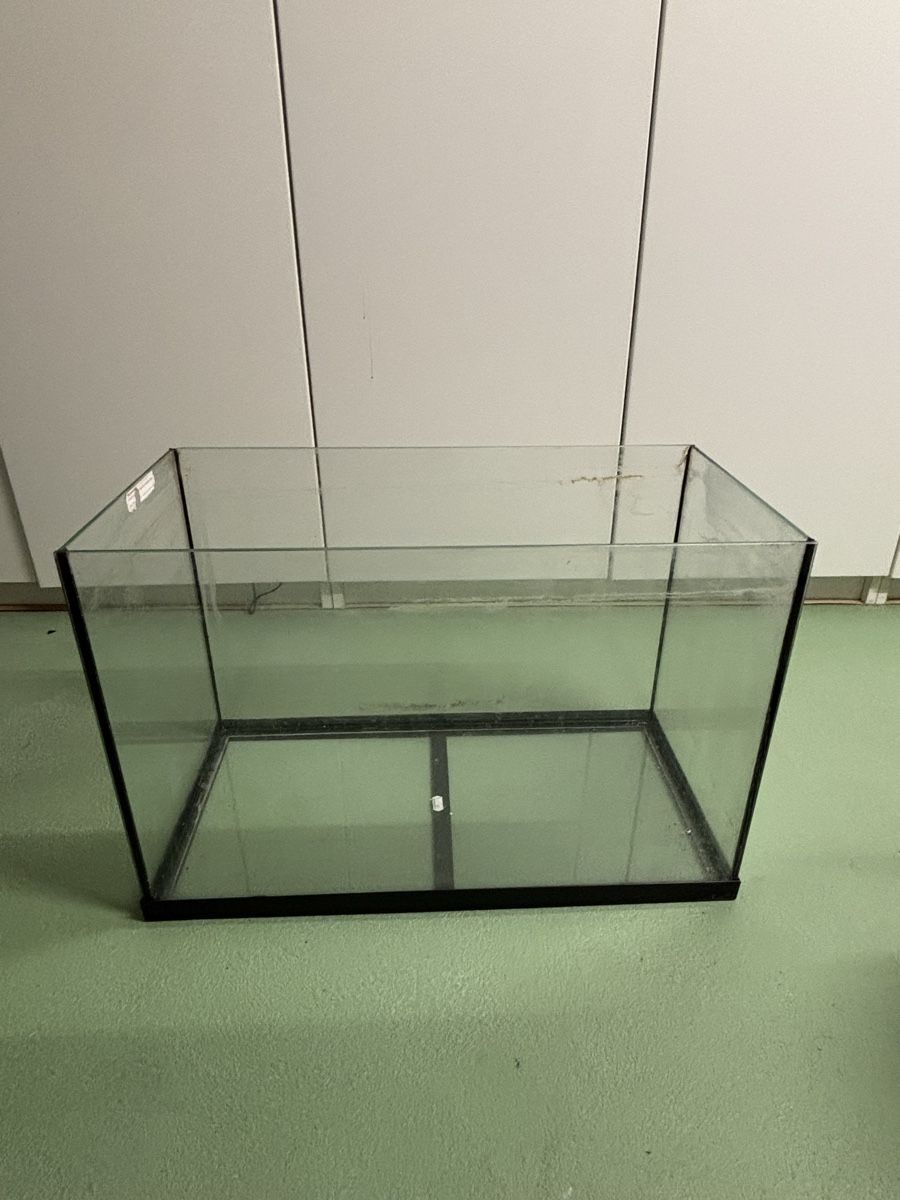 Aquarium: Gratis Aquarium 60x30x40cm – D'occasion à Hettlingen par tim_h26c 2