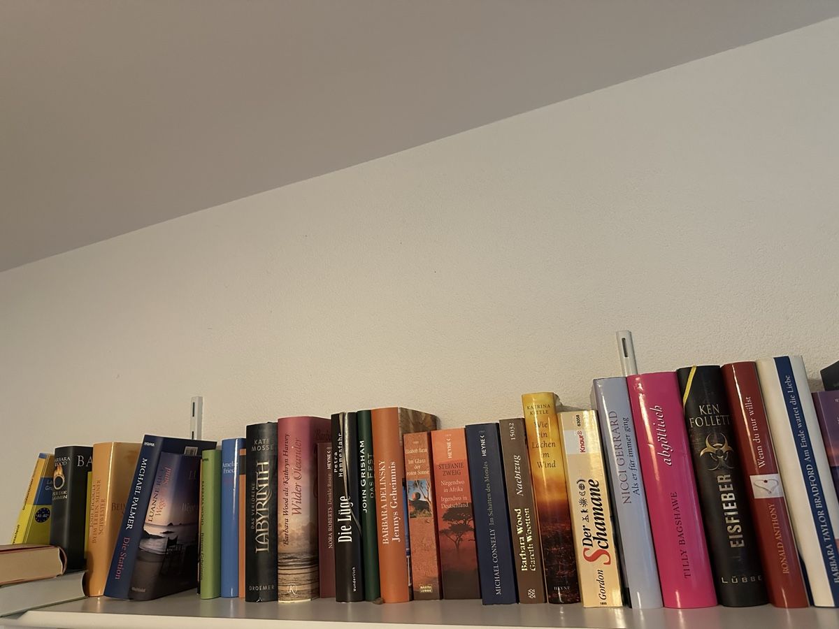 Libri: Diverse Romane Belletristik bis 100 Stk – Usato da Zürich venduto da Tina510 1