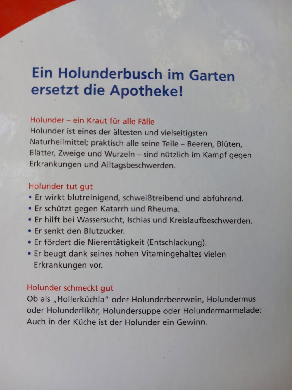 Libri: NATÜRLICH GESUND MIT HOLUNDER – Nuovo (secondo la descrizione) da Wettingen venduto da Colorup 1