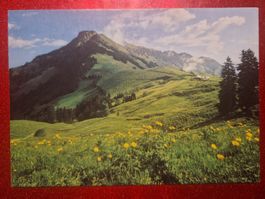 Stanserhorn FFS SBB 1981