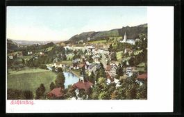 Lichtensteig, Ortsansicht aus der Vogels