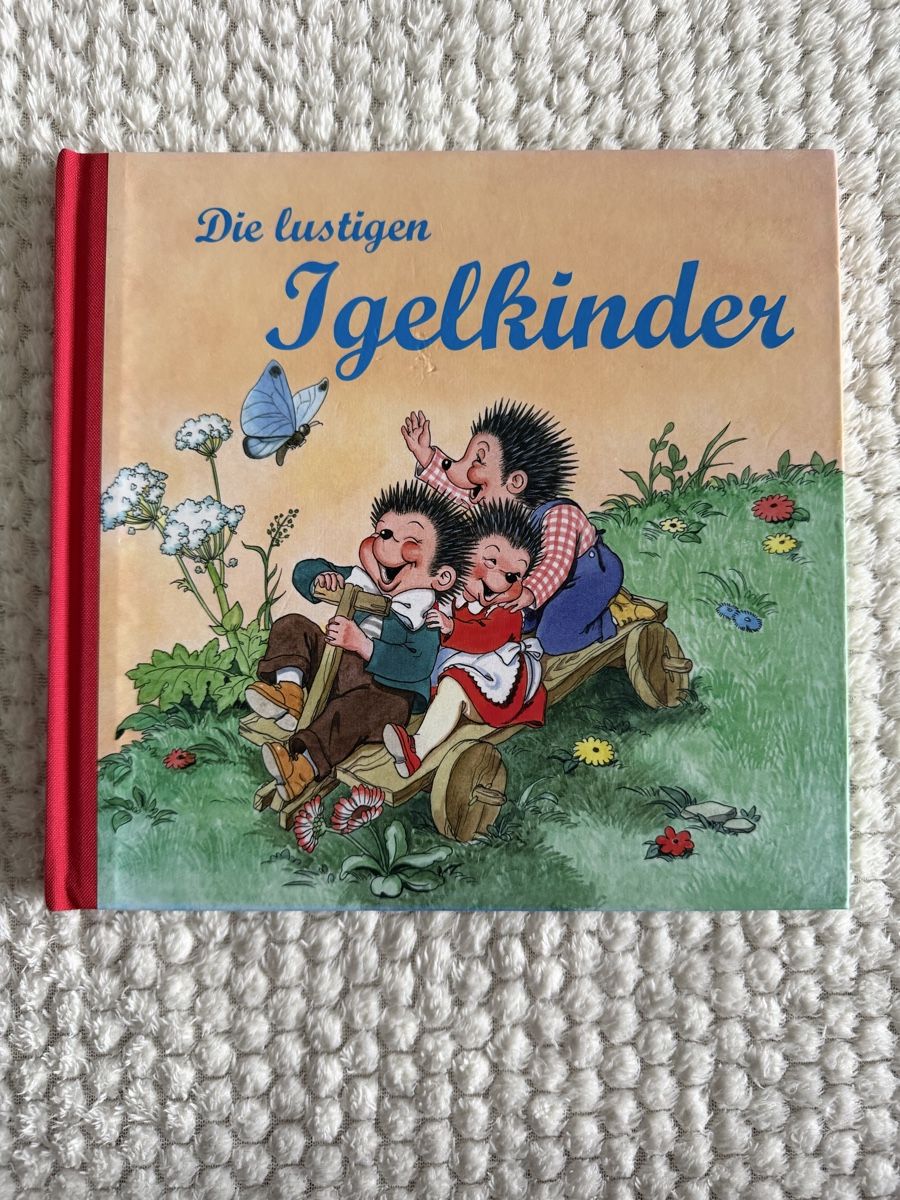 Bücher: Kinderbuch "Die lustigen Igelkinder" Anny Hoffmann Buch – Neu (gemäss Beschreibung) aus Glattpark(Opfikon) von neu_z6sm