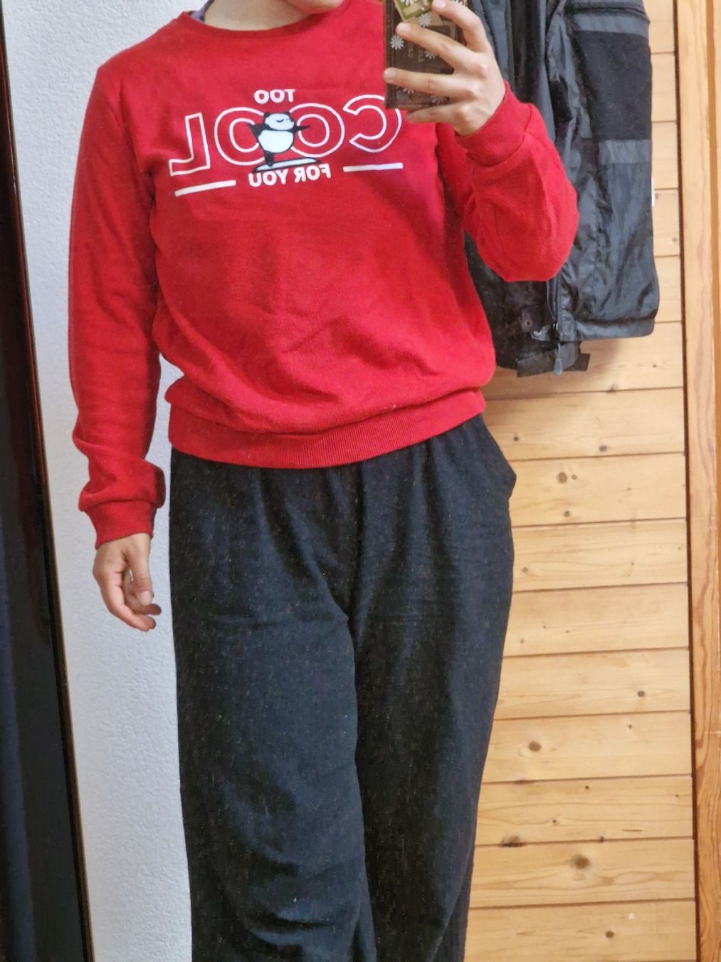 Maglioni & Felpe: Pullover – Usato da Wil SG venduto da zeh_pck9 2