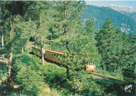 CORSE, oasis de beauté - VIZZAVONA - autorail dans la forêt