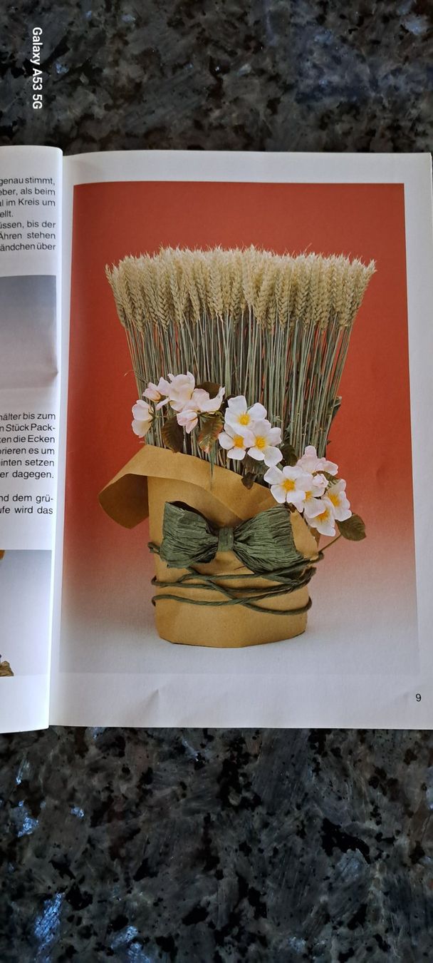 Libri: Getreide-Gräser-Blumen, Floristik, Geiger – Usato da Plagne venduto da Reticulum01 6