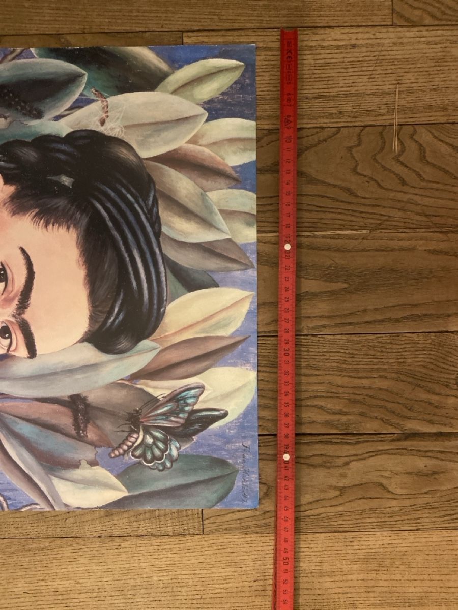 Posters & Illustrations: Plakat Frida Kahlo 45x70cm – D'occasion à Zürich par luc_8sdm 2