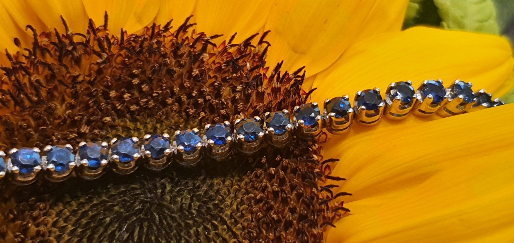 Bracelets: Tennis Bracelet 42 wunderschöne Saphir – Neuf (Voir description) à Unterägeri par Altgoldschmuck