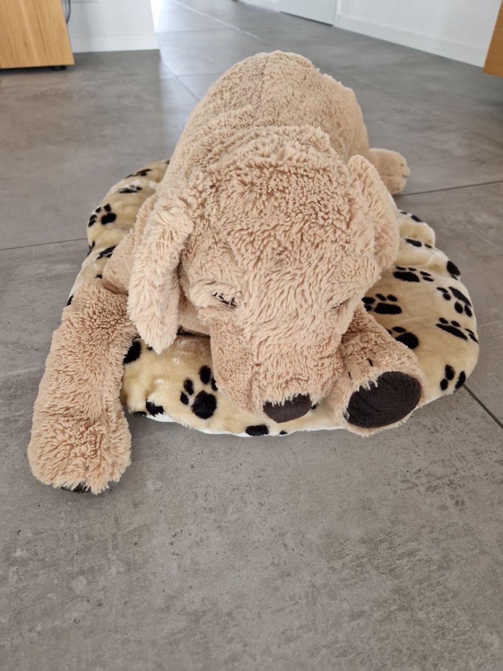 Ikea Giocattoli: Hundekissen mit Kuscheltier-Hund – Usato da Dagmersellen venduto da ejord