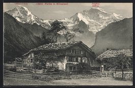 Wilderswil, Ortspartie mit Häusern, M