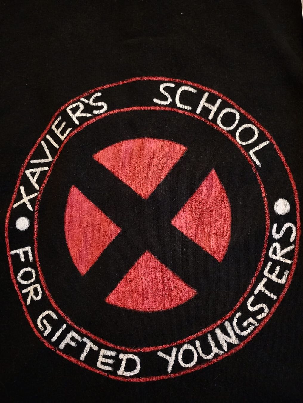 H&M Pullover & Sweatshirts: X-Men Kapuzenjacke – Gebraucht aus Ehrendingen von 2Guagua2 2