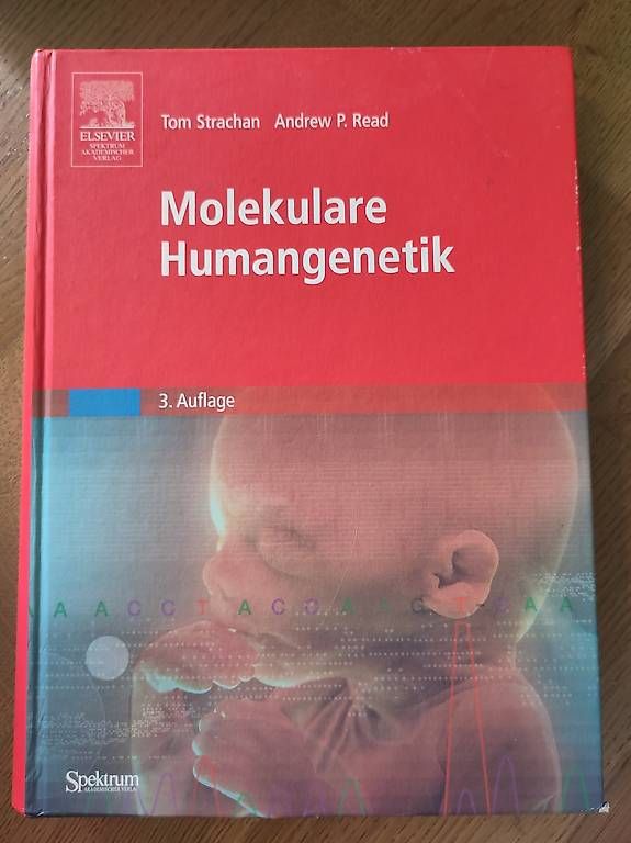 Libri: Molekulare Humangenetik – Usato da Liebefeld venduto da inetphantom