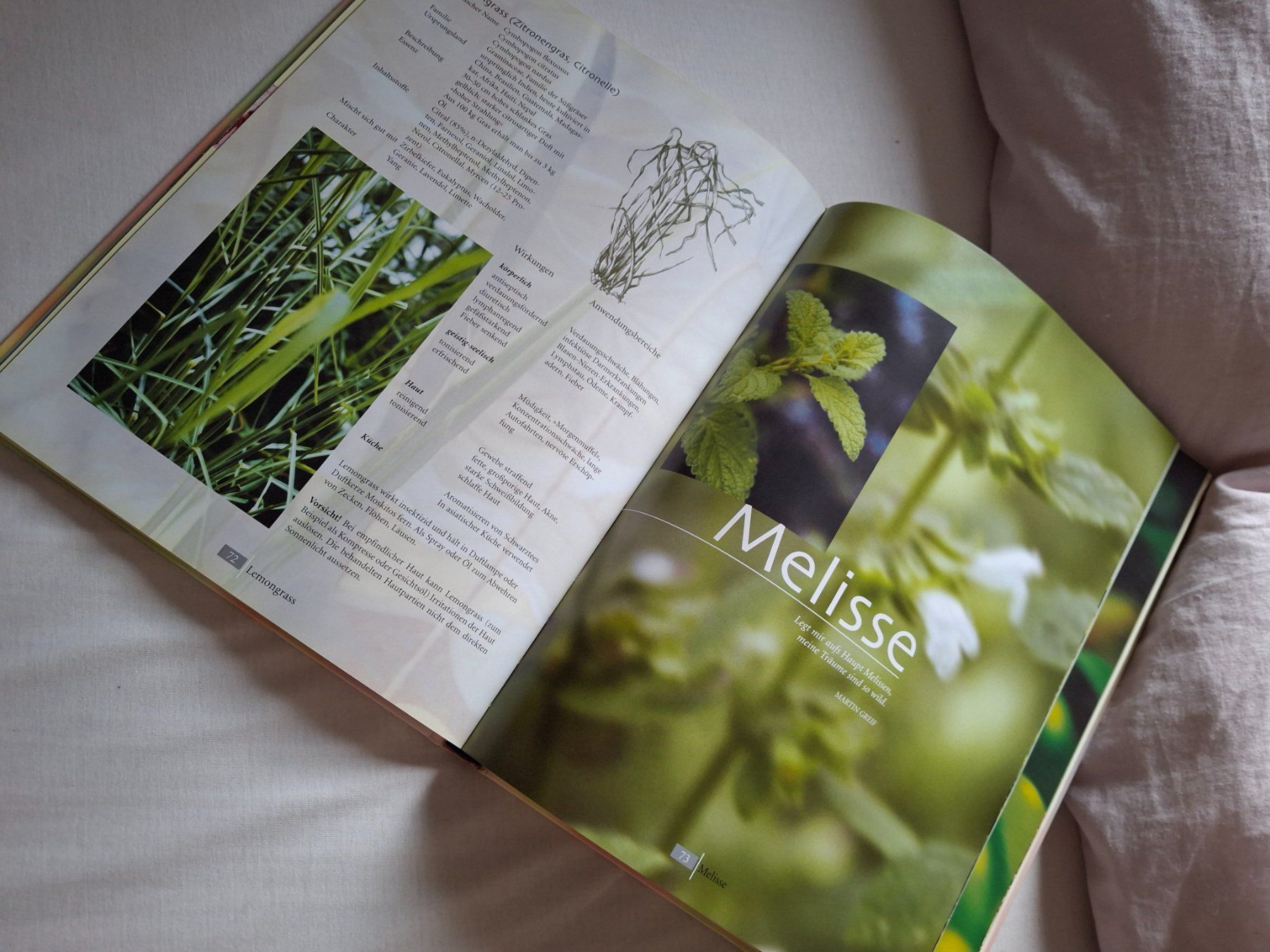 Libri: Aromatherapie-Buch "Himmlische Düfte" AT Verlag – Usato da Walterswil SO venduto da mel_5b2h 2