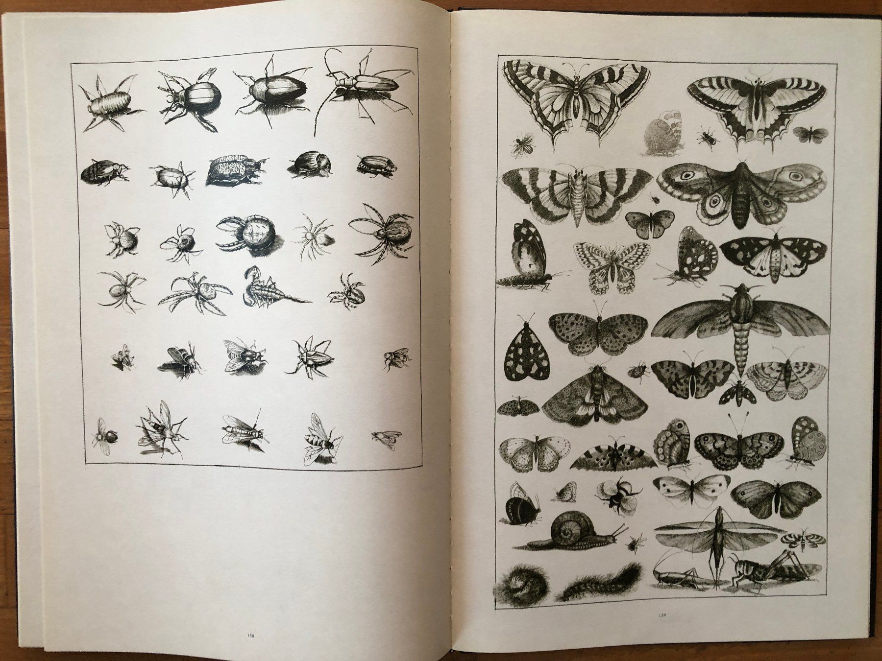 Libri: Kunst Buch: FREDERICK DE WIT - Lumen Picturae – Usato da Lugano venduto da gio.yo 7