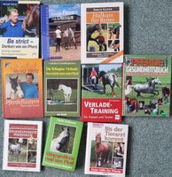 Pferde-Buchpaket: Wissen für Reiter & Pferde-Fans!