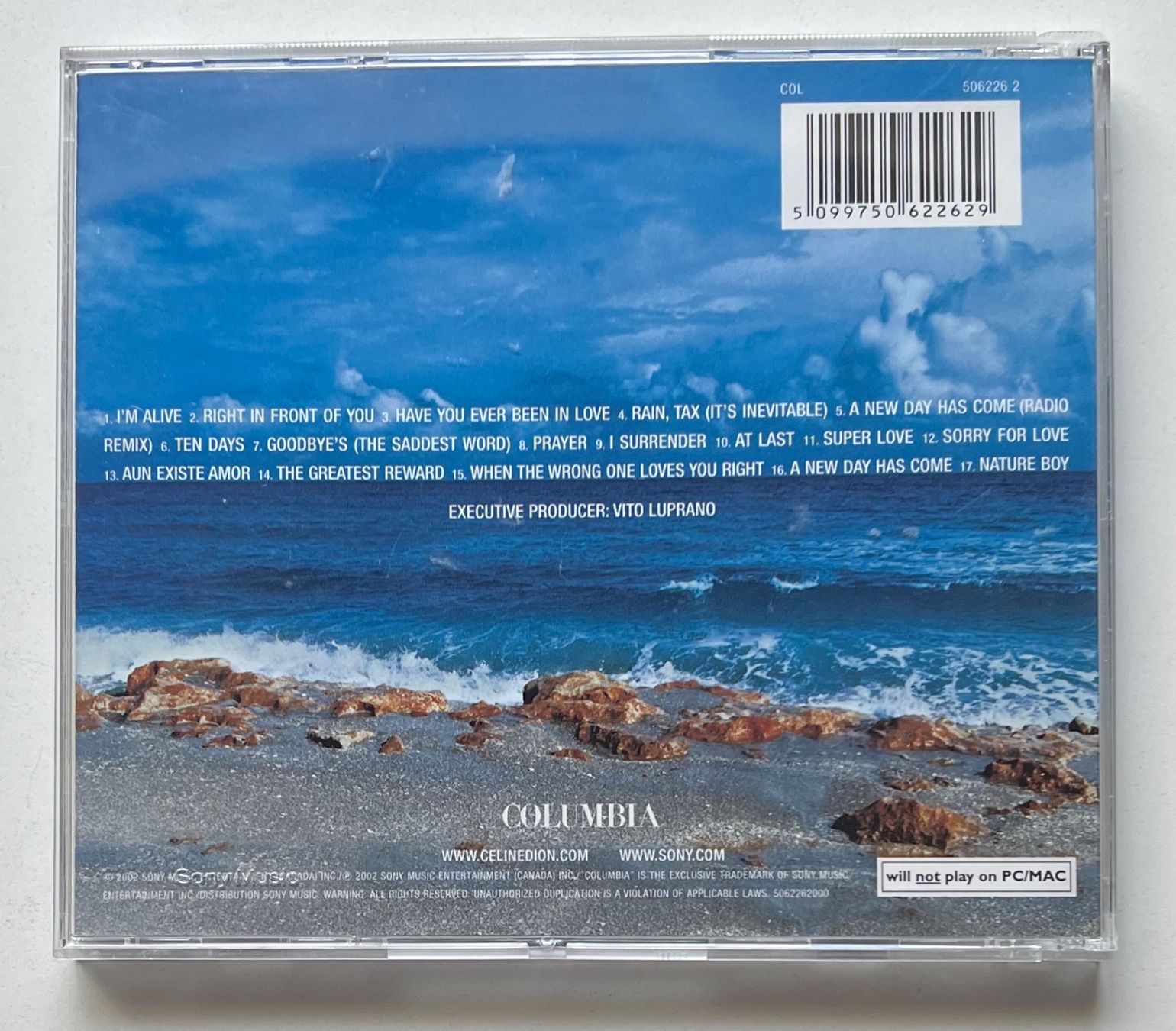 CD: Celine Dion / A New Day Has Come – Usato da Näfels venduto da rottabi 1