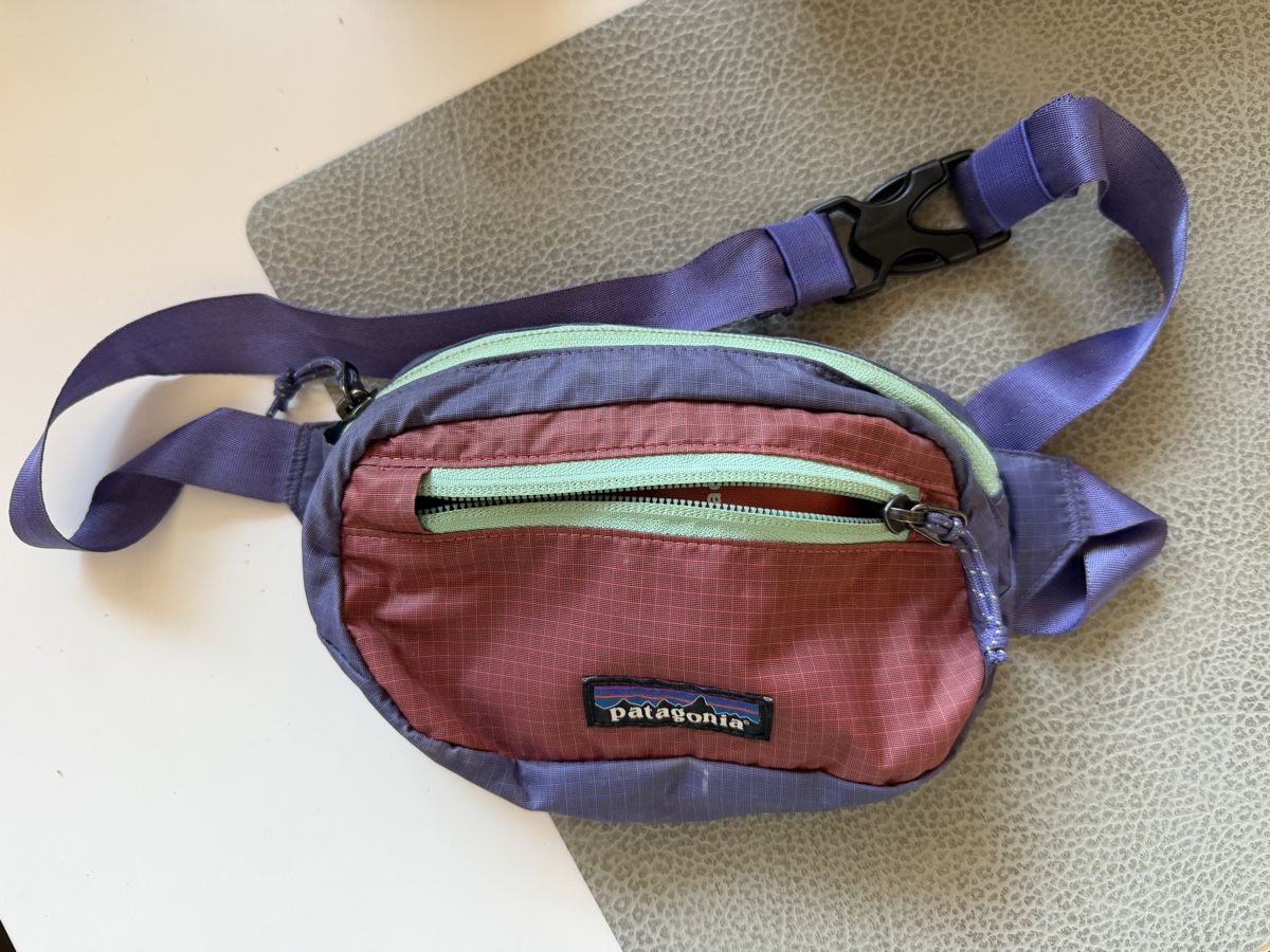 Patagonia Borse: Patagonia Hip Pack – Usato da Feuerthalen venduto da ale_8zjl