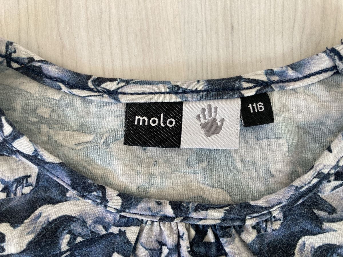 Molo Camicette, T-shirt & Top: Langarm Shirt Molo 116 – Usato da Amden venduto da Karplusan 1