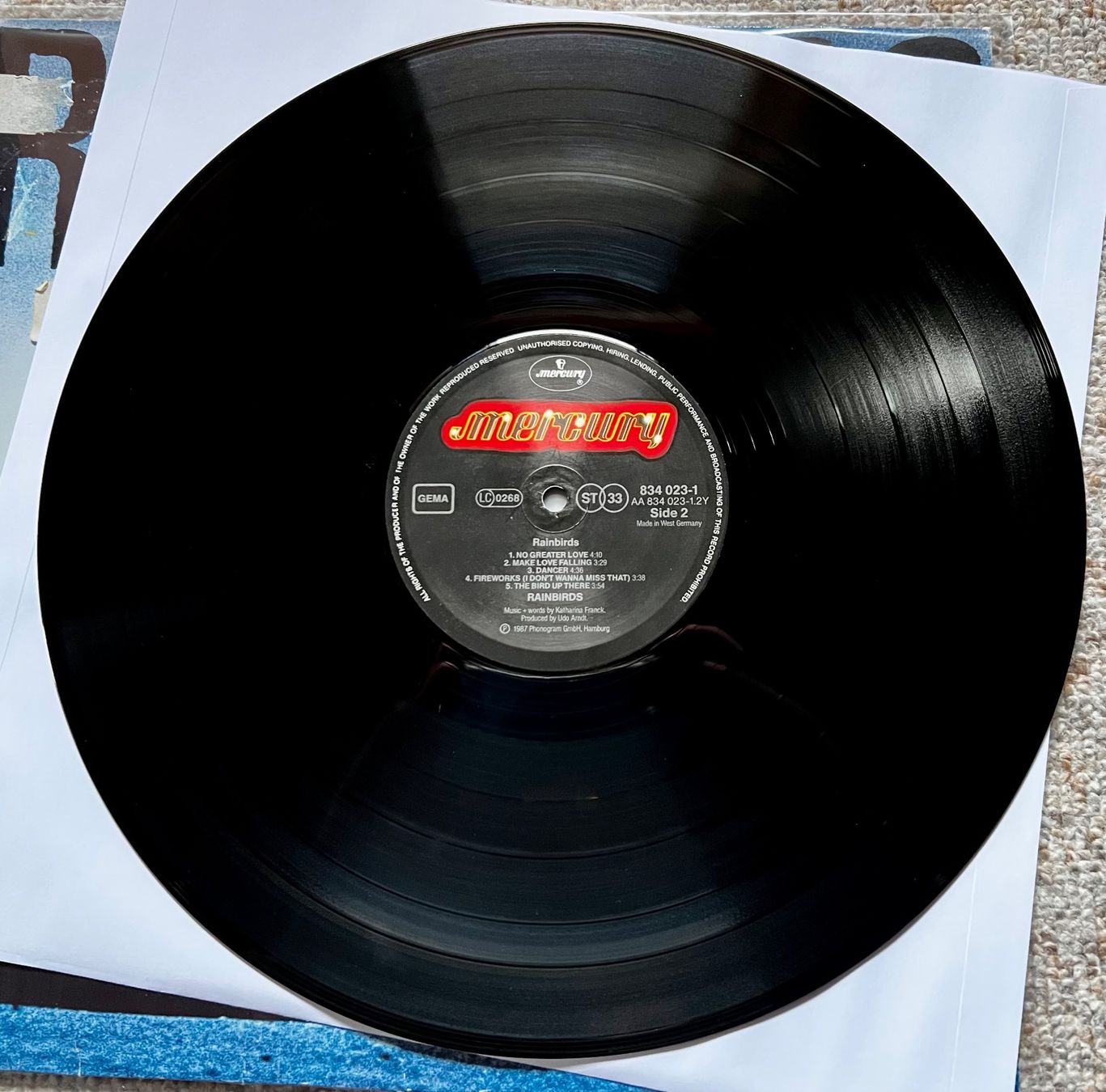 Dischi in vinile: Rainbirds - Alternative Rock LP GEWASCHEN – Usato da Unterseen venduto da vinylmore 1