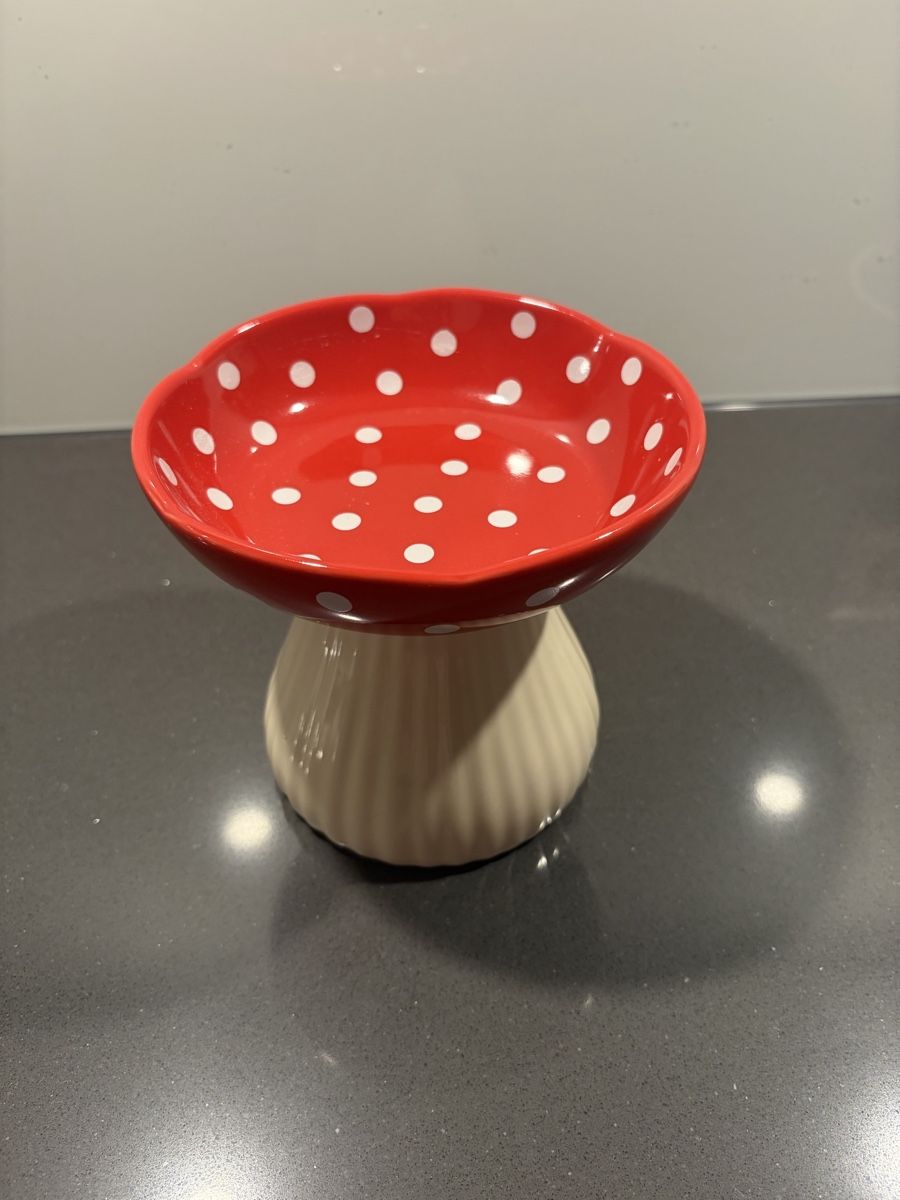 Schalen: Ceramic Mushroom Futternapf  – Gebraucht aus Spreitenbach von galus_z