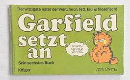 Garfield Setz an - Band 6 - Jim Davis