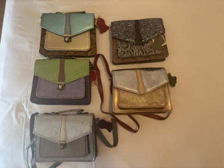Collection de sac en cuir 5 X
