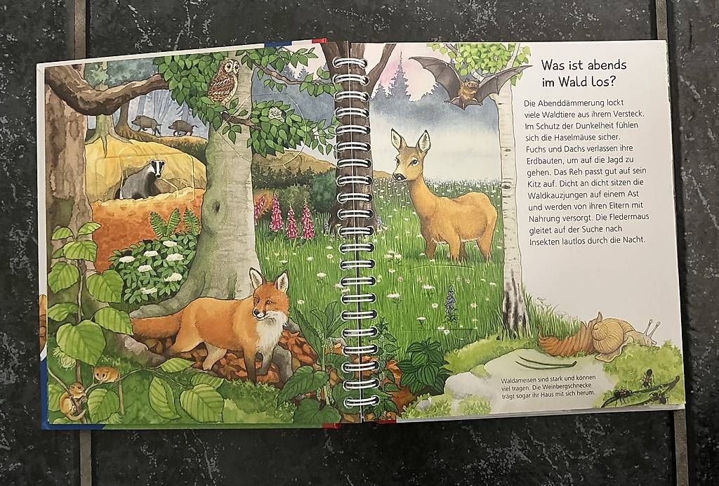 Libri: Ravensburger Kinderbuch: Tiere bei uns – Usato da Kirchberg BE venduto da qualle01 2
