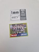Panini Sticker CPV13