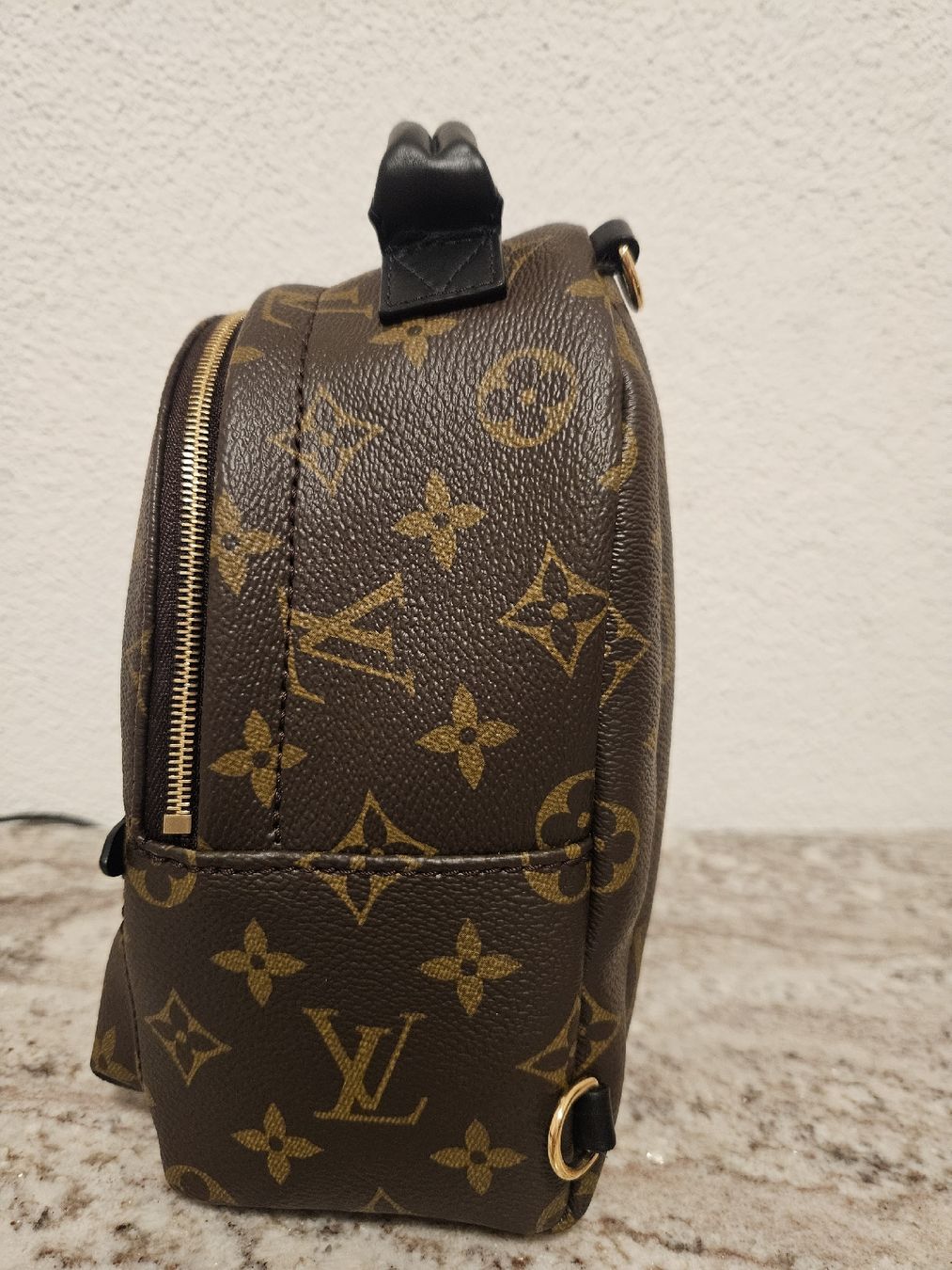Louis Vuitton Zaini: Louis Vuitton Palm Springs mini – Nuovo (secondo la descrizione) da Ottenbach venduto da RaRo 2