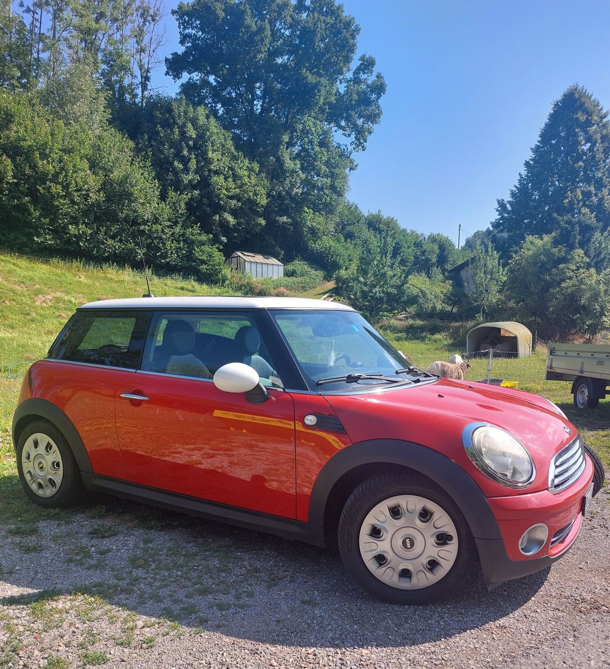 Mini Autos: Mini Cooper – D'occasion à St.Silvester par Mitsu0