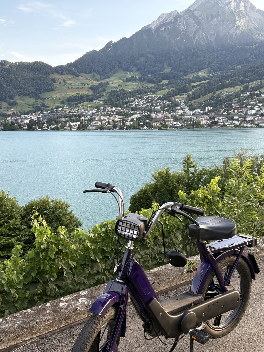 Piaggio Mofas: Piaggio Ciao C7E – Gebraucht aus Kastanienbaum von mat_ph8w