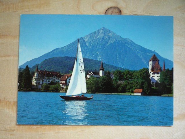 Cartoline postali: Spiez mit Niesen, 6618 – Usato da Rieden SG venduto da Brockehuesli
