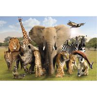 Poster Wildtiere Zoo