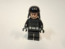 Imperial Trooper (Black Helmet) sw0208
