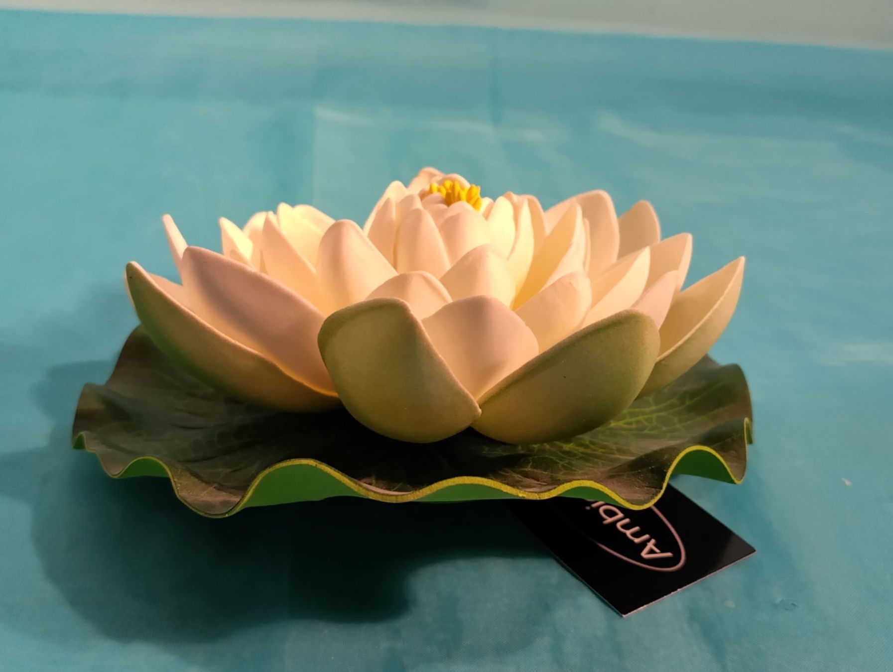 Piante & sementi: Seerose Deko-Blume – Nuovo (secondo la descrizione) da Bellach venduto da JingleCherry 1