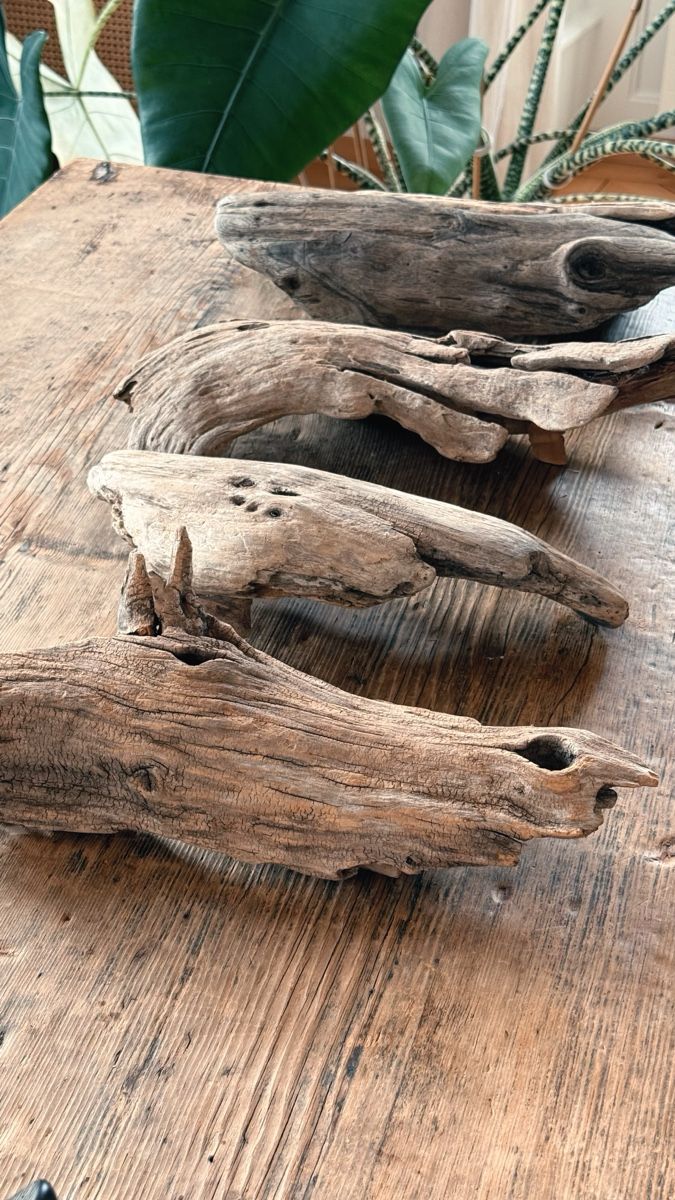 Articoli in legno: Treibholz als Wandlampe – Usato da Solothurn venduto da TomBananaJoe 1
