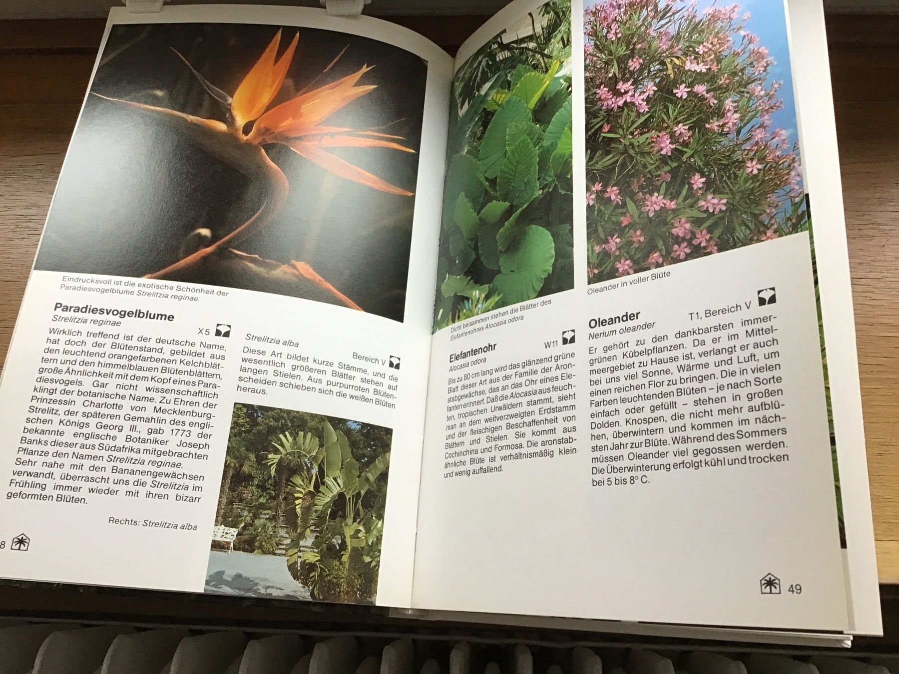 Libri: Pflanzenschutzes der Mainau – Usato da Bischofszell venduto da Emida 1