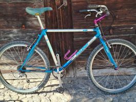 Kult MTB Raleigh