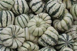 Piante & sementi: PATIDOU SWEET DUMPLING (courge sucrée) – Nuovo (secondo la descrizione) da Bremblens venduto da FIBONACCI369 2