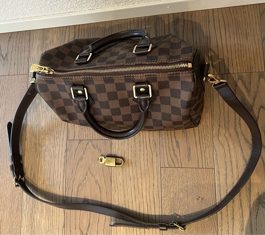 Louis Vuitton Speedy 25 Kaufen auf Ricardo