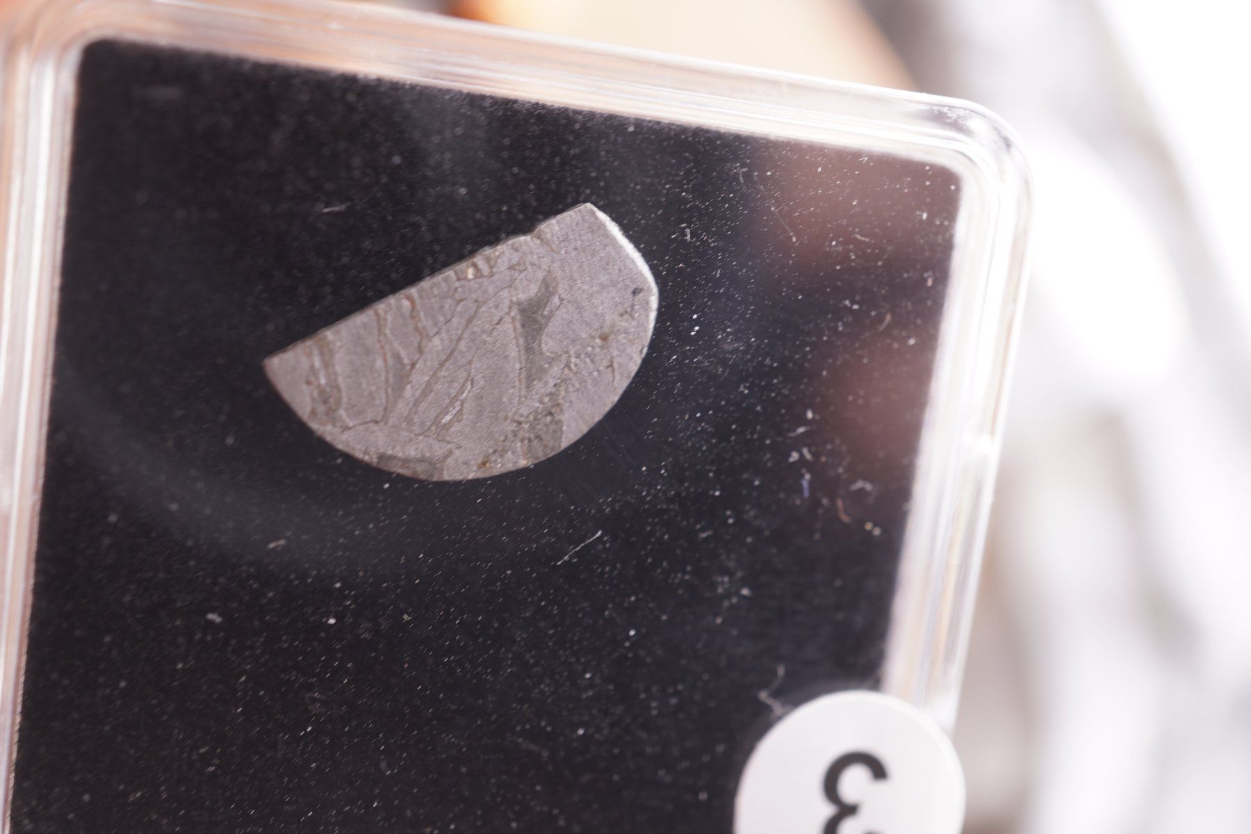 Minerali & Pietre curative: Eisenmeteorit Scheibe   Aletai    Ab 1.- – Nuovo e nell'imballaggio originale da Eschenbach SG venduto da topstone 3
