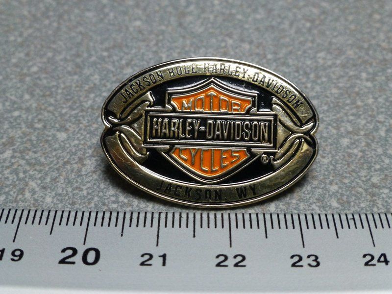 Placchette & Badge: PIN PINS HARLEY DAVIDSON HOG ABZEICHEN CHAPTER – Usato da Gränichen venduto da Jumbo77