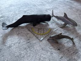 3 Schleichtiere - Pottwal, Hai und Delphin