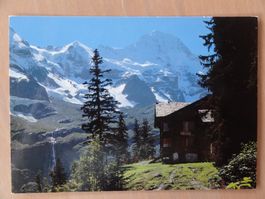 3801 Stechelberg, Hôtel Tschingelhorn