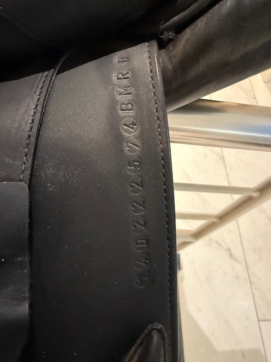 Selle & Accessori: Springsattel Erreplus – Usato da Bottmingen venduto da chl_87yv 2